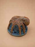 Octopus Air Plant Holder