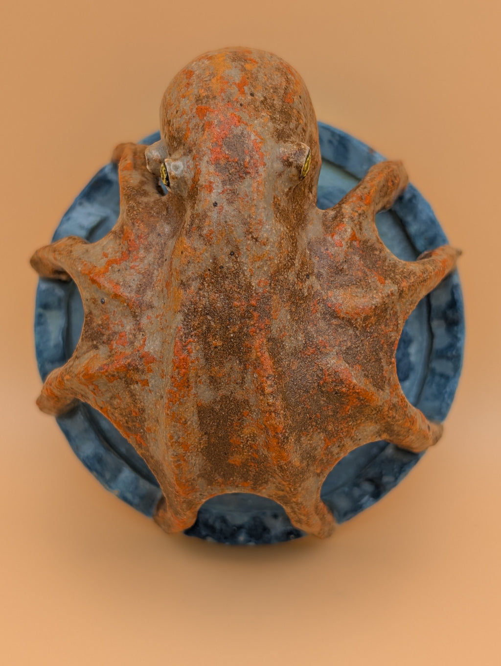 Octopus Air Plant Holder