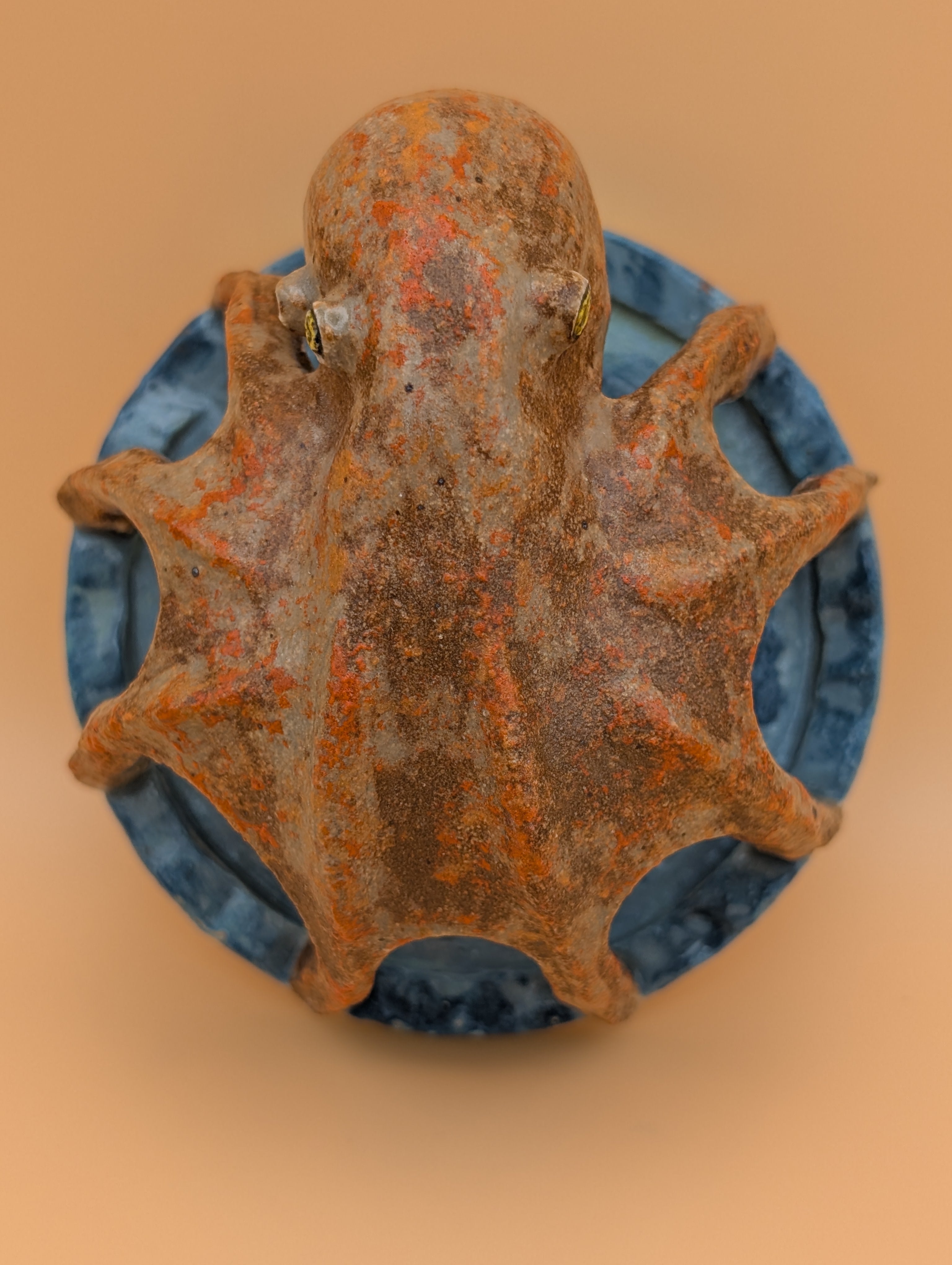 Octopus Air Plant Holder